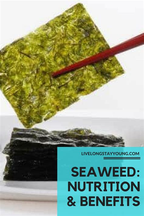 Magoc seaweed bolnas